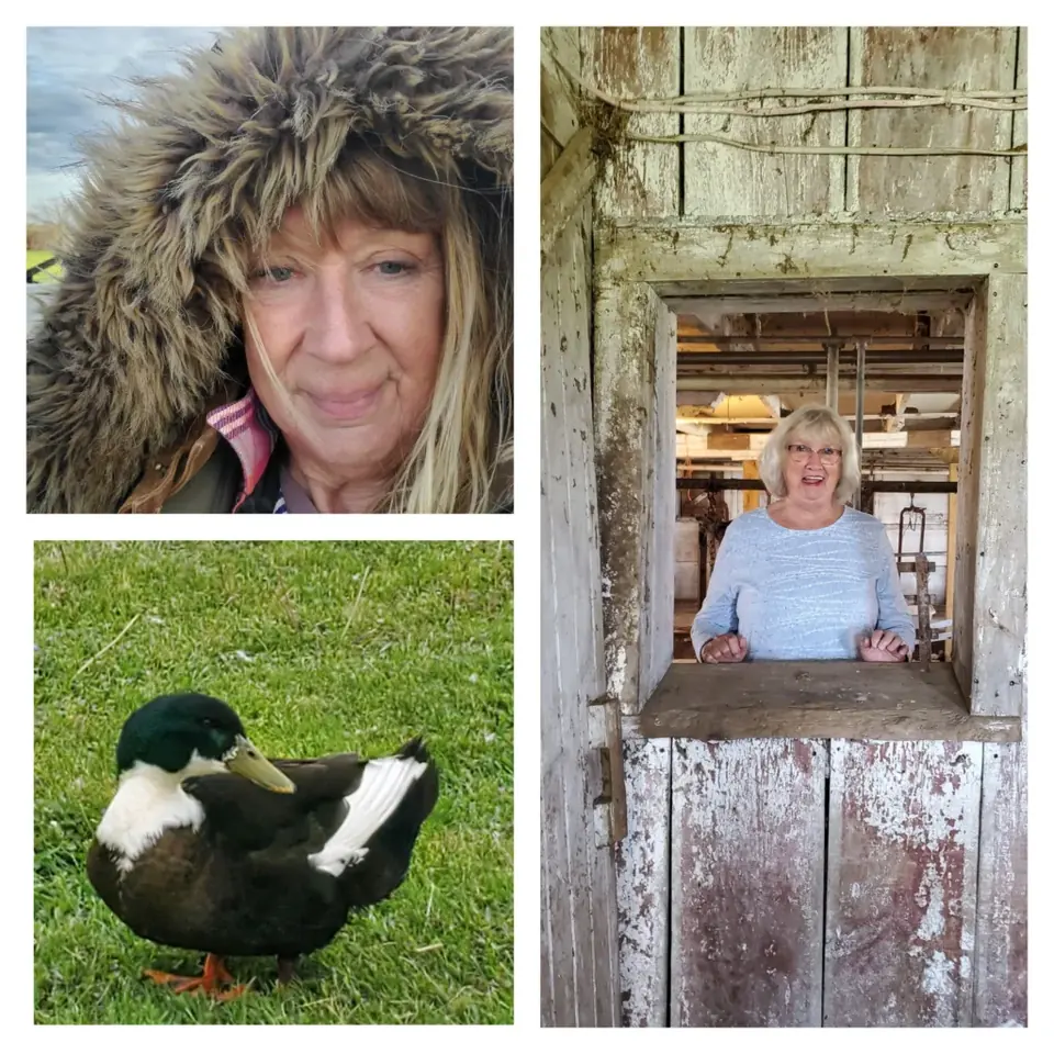 Longview Farm's host collage, with two portraits and Mr. Darcy the duck